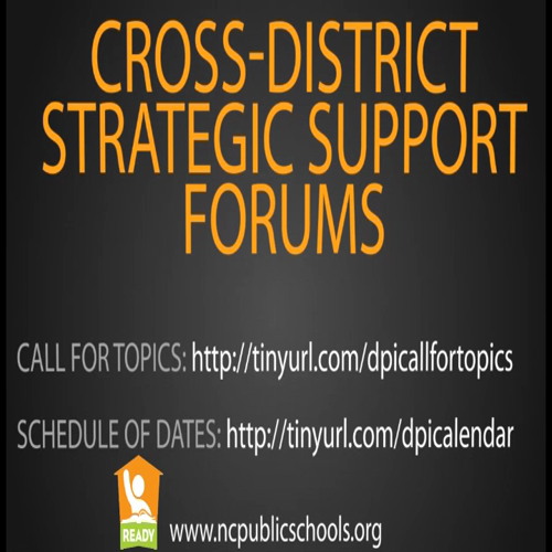 Cross-district Strategic Support Digital Flyer