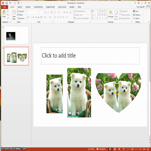pictures in powerpoint