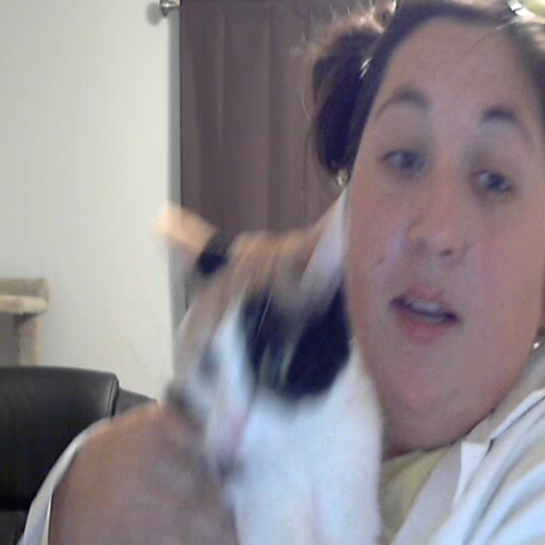 living vs. non living