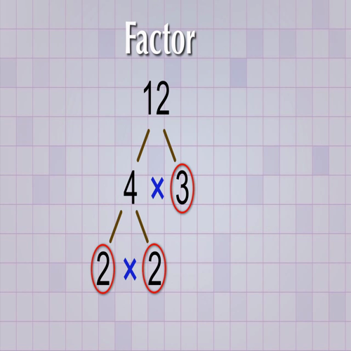 3.3 lesson 1 - prime factorization