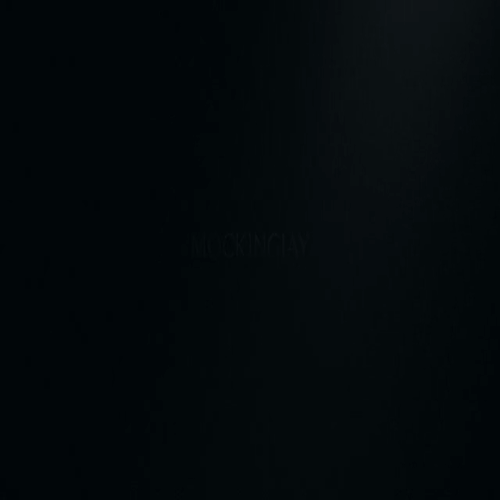 Kayla's book Trailer