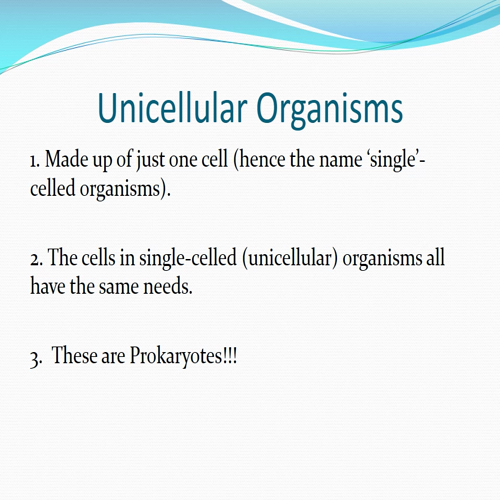 characteristics of life