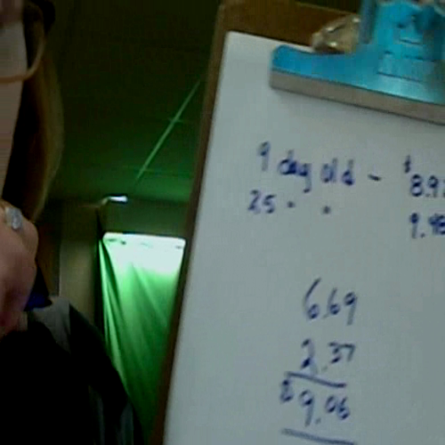 Shopping at Filene's