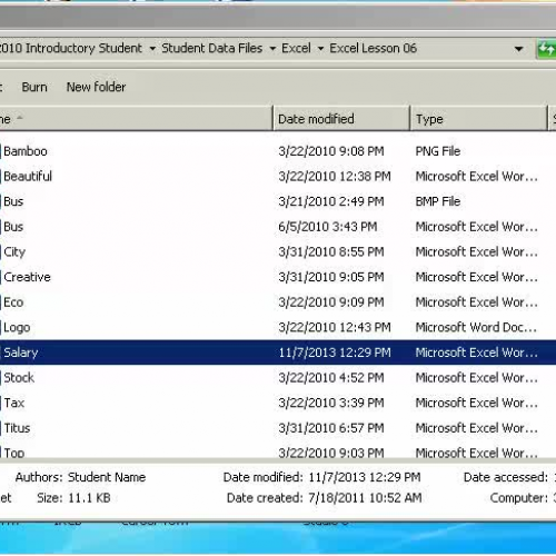 excel lesson 6 - sbs 6.4-6.6