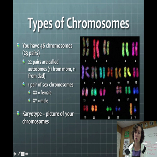 DNA and Chromosomes