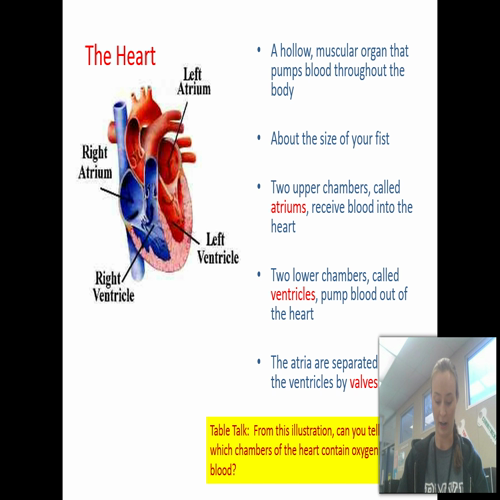 ch 14 section 1 raney science