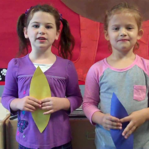 horner thankful feathers