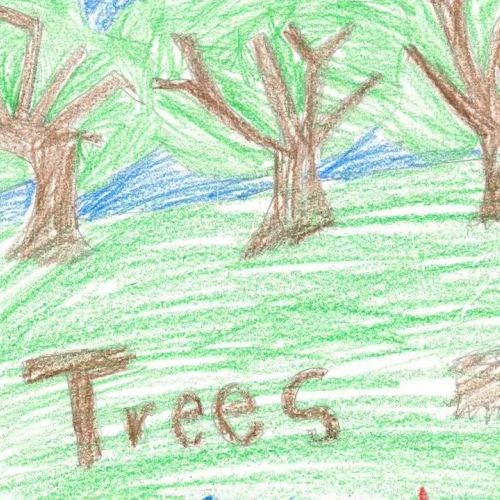 Macdonough Scotties Trees Rock Video Tenzin and Alyssa