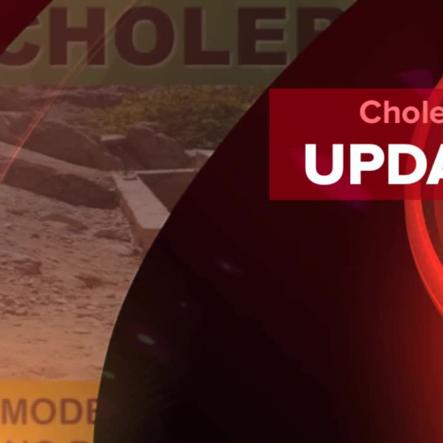Cholera PHSA Assignment