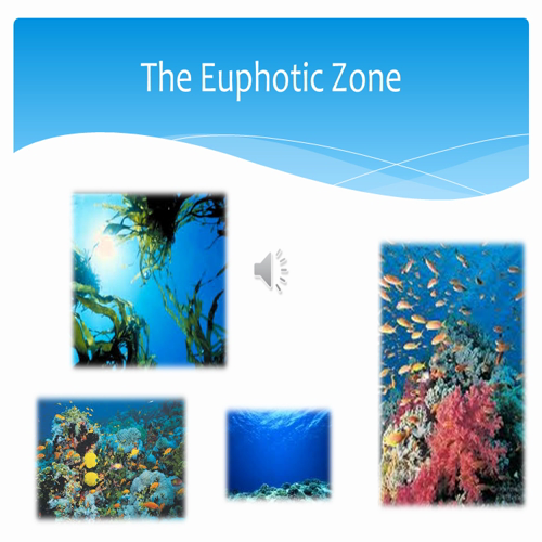 The Euphotic Zone Complete Video