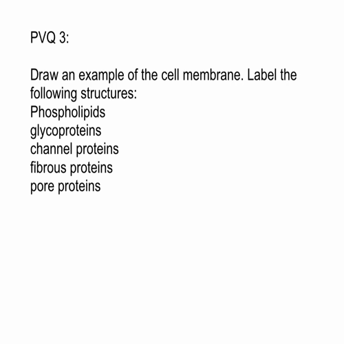 video 4.1 the cell membrane