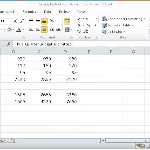 excel lesson 2-sbs 2.5-2.8
