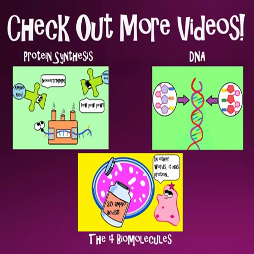 why rna is just as cool as dna