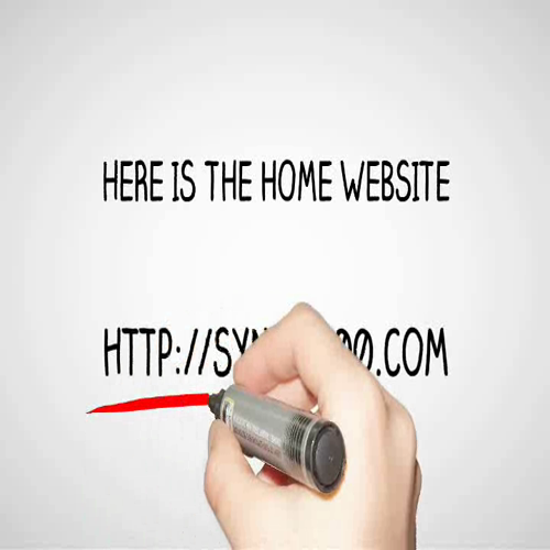 SYNAM100! THE SYNTHETIC ANIMAL PROJECT