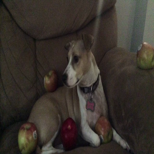 Subtraction Stories with Molly