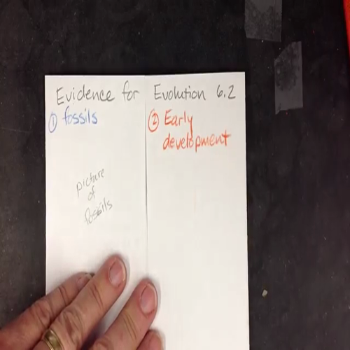 6.2 evidence for evolution foldable