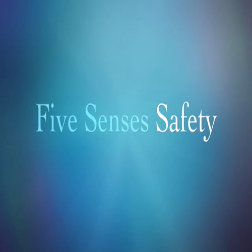 Five Senses Safety