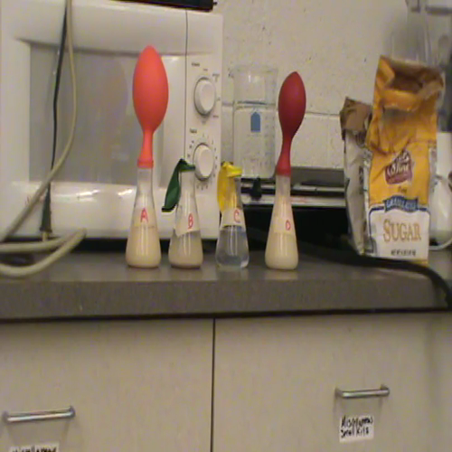 Results of Yeast Respiration