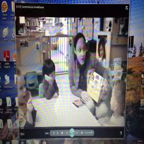 SAlicea-Swindell Lesson