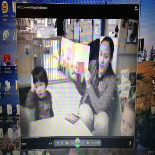 SAlicea-Swindell Lesson6