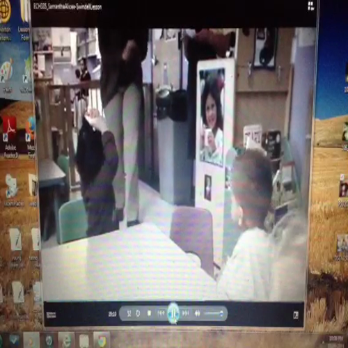 SAlicea-Swindell Lesson12