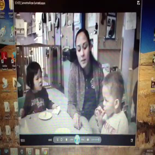 SAlicea-Swindell Lesson11