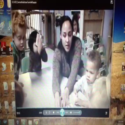 SAlicea-Swindell Lesson15