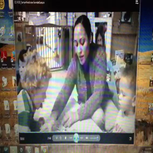 SAlicea-Swindell Lesson17