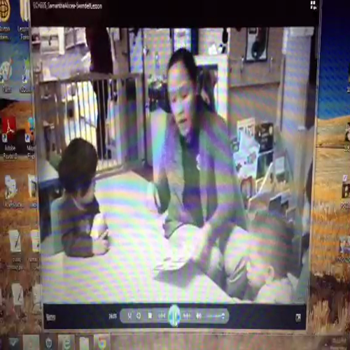 SAlicea-Swindell Lesson16