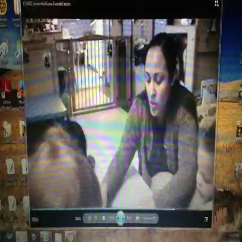 SAlicea-Swindell Lesson18