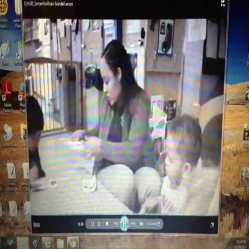 SAlicea-Swindell Lesson21