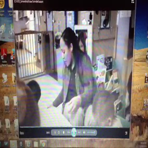 SAlicea-Swindell Lesson20