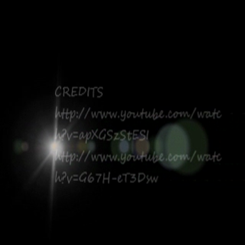 Tribute to Arabian Horses