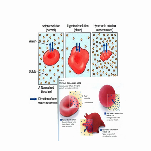 Diffusion and Particle Size