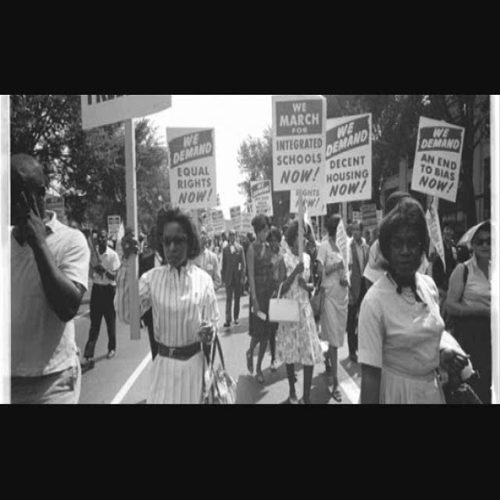 educ 5310 final video diversity