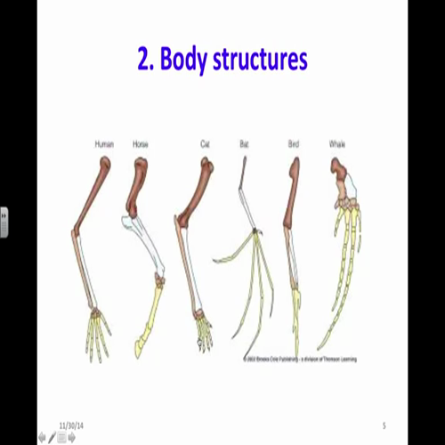 6 2evidence for evolution