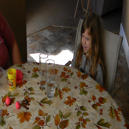 Adolescent Learning Video