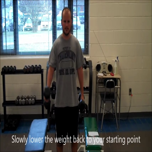 TMS Dumbbell Bicep Curls