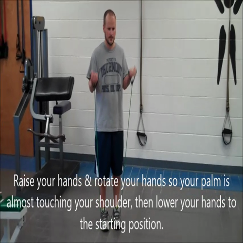 TMS Band Bicep Curls