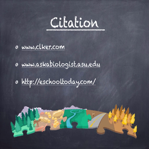 Ecosystems_EDMT330_kuridge