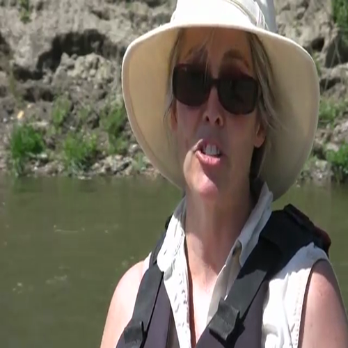 minnesota river sediment