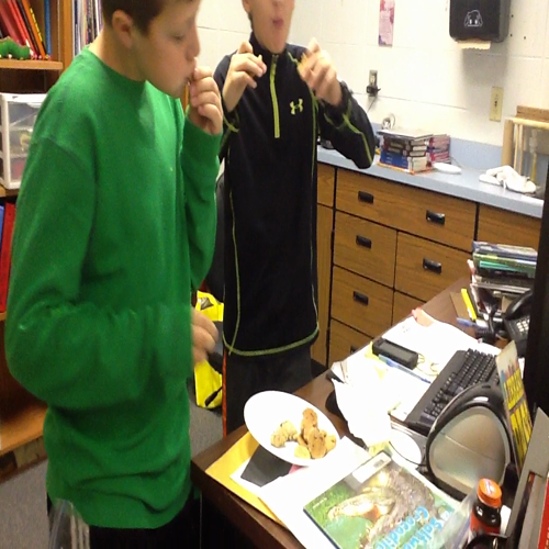 frog and toad together