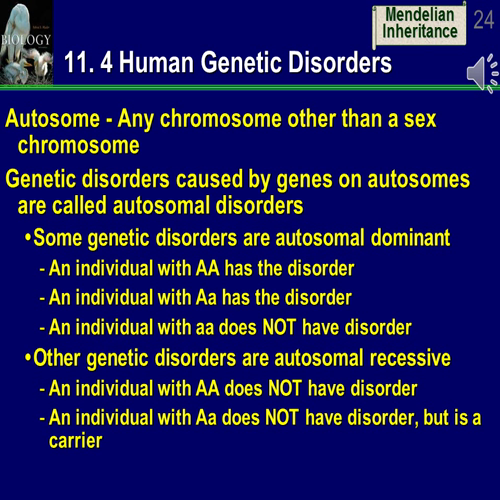 chapter 11 mendelian patterns of inheritance with recordings