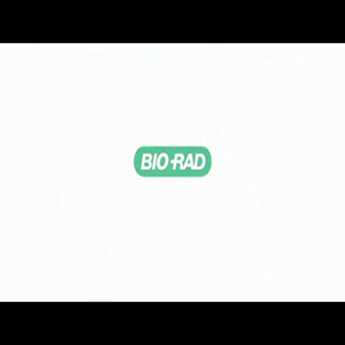 the pcr song by_scientists_for_better_pcr