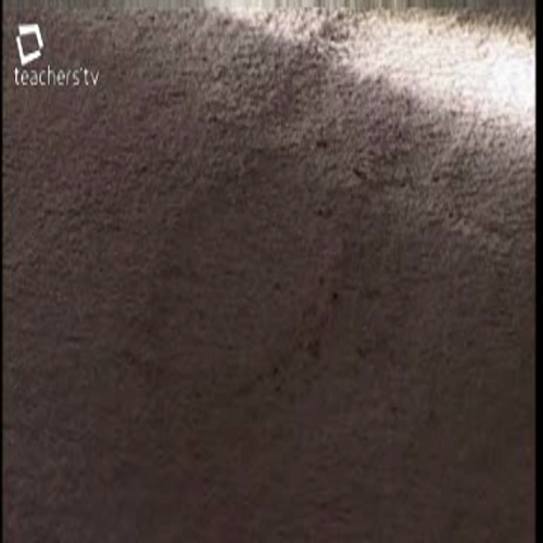 real science - incriminating evidence