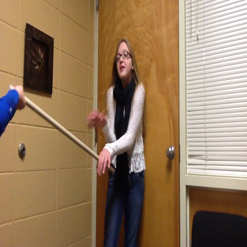 fly guy's amazing tricks