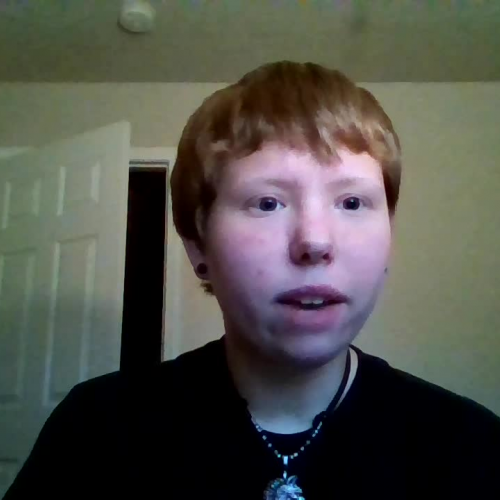 Distracted driving presentation essay