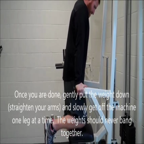 assisted tricep dips