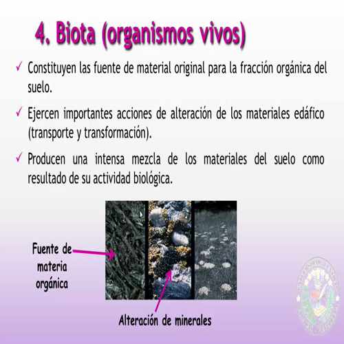 factores y procesos formadores (parte 2)