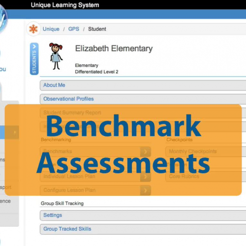 Benchmark Assessments